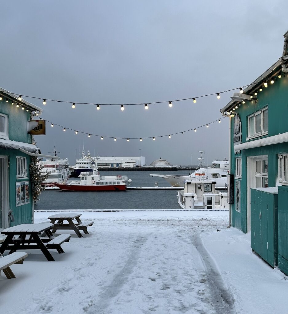Photo taken in Reykjavik, Iceland with string lights strung from the top of roofs, with a harbor in the background.